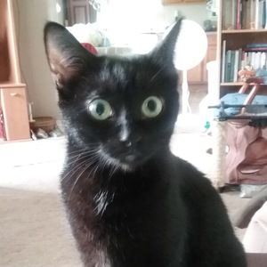 Meet your Posher, Cheryl l.